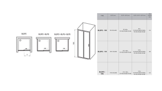 Душевая дверь Ravak Blix BLDP2-120 0PVG0C00ZG Grape профиль хром