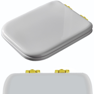 Комплект шарниров для сиденья Kerasan Retro R108A16 - шарниры для 4187 oro золото