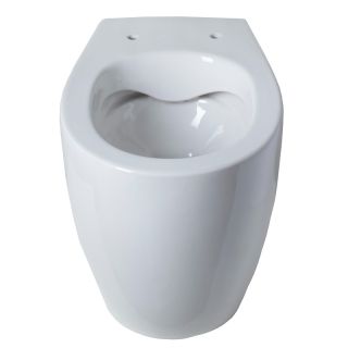 Приставной унитаз Allen Brau Fantasy 4.11007.20 безободковый белый