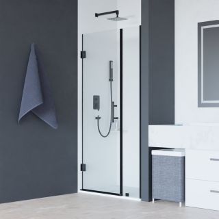 Душевая дверь RGW HO-012B 350601212-14 120см чёрный